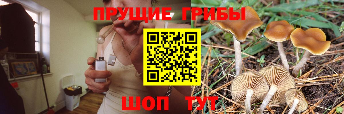 Псилоцибиновые грибы Psilocybine cubensis Южно-Сахалинск